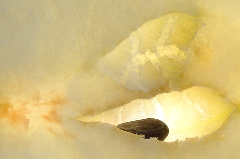 æble, makro, frugt, tæt, kernobst gewaechs, ingen mennesker, geologi, gul, solid, skønhed i naturen, klippe, natur, udendørs, vulkan, baggrunde, jord, tæt på, tekstureret, rock-objekt, dag, svovl, røg - fysisk struktur, eksploderer, varme - temperatur, vulkansk krater, magt i naturen, 2K, CC0, offentligt domæne, royaltyfrie