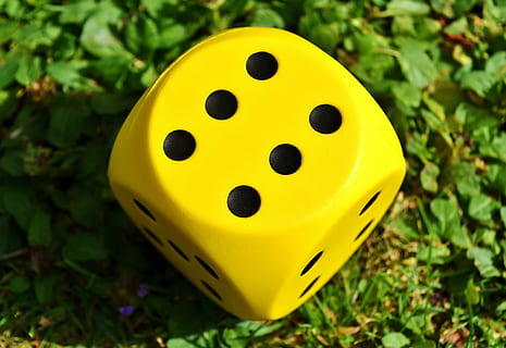 cub, jugar, groc, punts, números, ulls, números d'ulls, nombre de cub, colorit, joc, esport, jocs d’oci, dia, primer pla, cap gent, planta, naturalesa, vista d’angle alt, terra, a l'aire lliure, sol objecte, centrar-se en primer pla, camp, joguina, natura morta, color verd, tacat, enfocament selectiu, somrient, herba, daus, 5K, CC0, domini públic, lliure de regalies