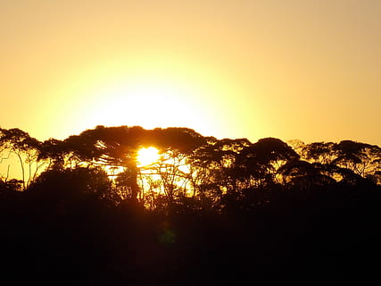 solnedgang, himmel, sol, Eventide, horisont, skyer, træer, skønhed i naturen, ro, rolig scene, scenics - natur, plante, silhuet, træ, natur, sollys, ingen mennesker, kopiere plads, landskab, miljø, idyllisk, ikke-urbane scene, vækst, udendørs, mørk, 2K, CC0, offentligt domæne, royaltyfrie