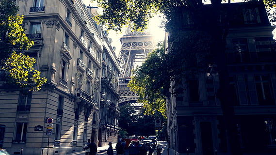 paris, eifel tower, eiffel tower, architecture, building exterior, built structure, city, plant, tree, building, nature, street, incidental people, transportation, mode of transportation, outdoors, day, city life, road, motor vehicle, car, sunlight, growth, 4K, CC0, public domain, royalty free