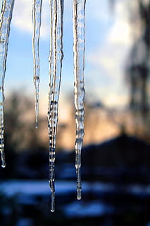 icicles, soğuk, kış, buz, ze, buz saçağı, soğuk hava, dondurulmuş, ön plana odaklanmak, çevre, kapatmak, doğa, kar, insansız, kristal, gün, açık havada, doğada güzellik, Su, bitki, buz kristali, erime, saflık, 2K, CC0, kamu malı, telif ücretsiz