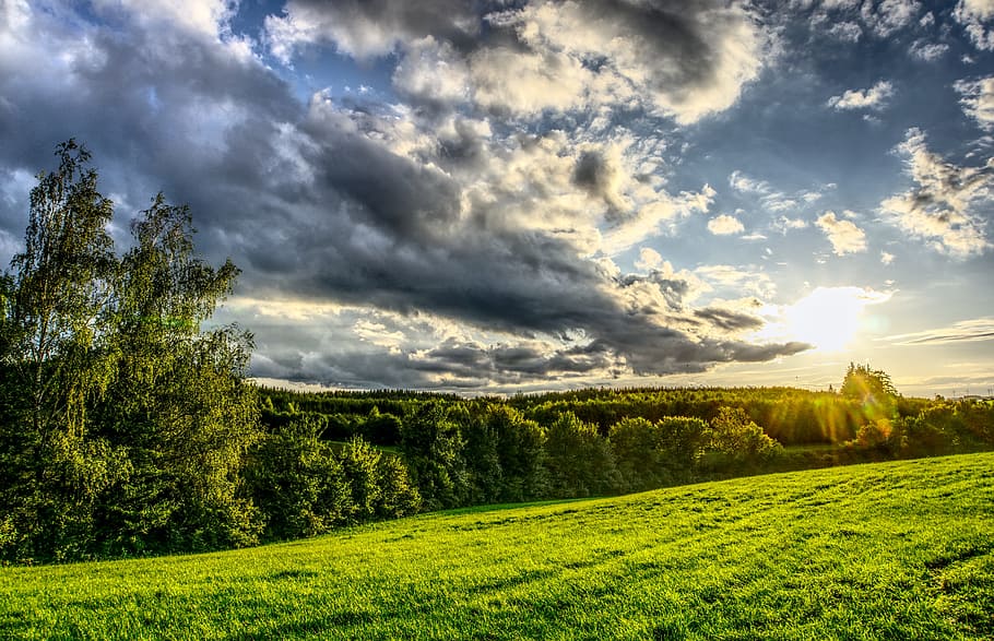 verde, campo d'erba, alberi di foglie, giorno, tramonto, raggio di sole, cielo, nuvole, umore, prato, sole, abendstimmung, cielo serale, romantico, crepuscolo, sole al tramonto, luce posteriore, alberi, foresta, natura, atmosferico, paesaggio, illuminazione, bellissimo, Dramma, hdr, ampia gamma dinamica, contrasto, nuvola - cielo, pianta, bellezza nella natura, colore verde, albero, la tranquillità, scenics - natura, erba, scena tranquilla, terra, ambiente, campo, scena non urbana, scena rurale, nessuno, luce del sole, all'aperto, bosco, 5K