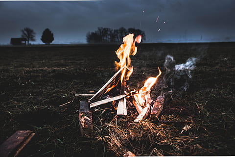 bonfire during nighttime, Fire, campfire, burn, flame, log, fire - Natural Phenomenon, heat - Temperature, burning, outdoors, bonfire, camping, firewood, nature, fireplace, night, field, dusk, wood, wood - material, land, sky, motion, plant, 5K, CC0, public domain, royalty free