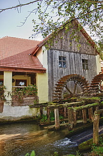 mill, wheel, river, built structure, architecture, building exterior, water, water wheel, building, plant, nature, no people, day, tree, watermill, wood - material, house, outdoors, motion, waterfront, old, fuel and power generation, canal, flowing water, 4K, CC0, public domain, royalty free