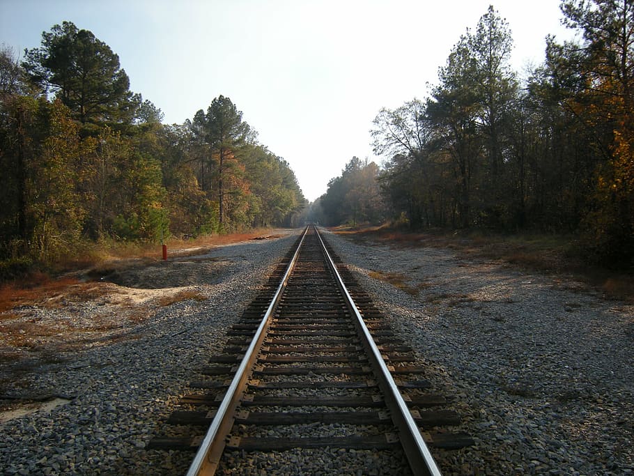 tren, Geòrgia, carretera, vies del ferrocarril, transport, naturalesa, acer, bosc, a l'aire lliure, viatge, viatjar, arbre, direcció, planta, el camí a seguir, transport per ferrocarril, pista, perspectiva decreixent, creixement, cel, cap gent, dia, punt de fuga, escena no urbana, bellesa a la natura, tranquil·litat, escena tranquil·la, recta, nivell superficial, paral·lel, llarg, 2K