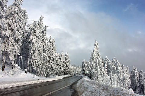 strada asfaltata, alberi di neve, inverno, la neve, invernale, freddo, bianca, blu, luce, congelato, innevato, umore, paesaggio innevato, foresta invernale, nevoso, strada, lontano, foresta, natura, alberi, conifere, abeti, alberi d'inverno, Germania, foresta Nera, neve alta, Natale, magia della neve, sogno invernale, Mummelsee, sport invernali, solitudine, silenzioso, sfondo, ombra, nuvole, nube, pendenza, Schwarzwaldhochstraße, temperatura fredda, pianta, albero, cielo, bellezza nella natura, scenics - natura, mezzi di trasporto, ambiente, nuvola - cielo, scena tranquilla, scena non urbana, la tranquillità, paesaggio, Colore bianco, giorno, la strada davanti, nessuno, Pino, all'aperto, albero di conifere, treelined, 1080P, CC0, dominio pubblico, privo di copyright