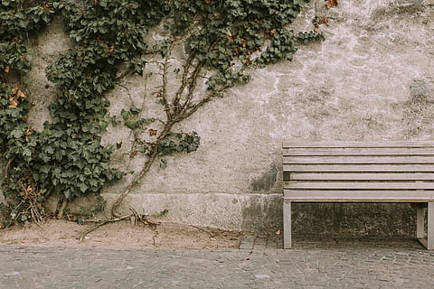 Marrone, di legno, panchina, accanto, parete, panca di legno grigia, parco, albero, pianta, posto a sedere, crescita, vuoto, architettura, nessuno, struttura costruita, natura, assenza, giorno, all'aperto, caratteristica della parete, sedia, sentiero, edera, foglia, panchina del parco, 5K, CC0, dominio pubblico, privo di copyright