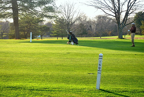 markør, gård, golfbane, golfspiller, golf, Rute, afstand, fairway, skud, strygejern, klubber, sport, græs, fritidsaktivitet, grøn - golfbane, plante, træ, grøn farve, natur, dag, aktivitet, herrer, rigtige mennesker, Mark, jord, mennesker, udendørs, parkere, tilfældige mennesker, 1080P, CC0, offentligt domæne, royaltyfrie