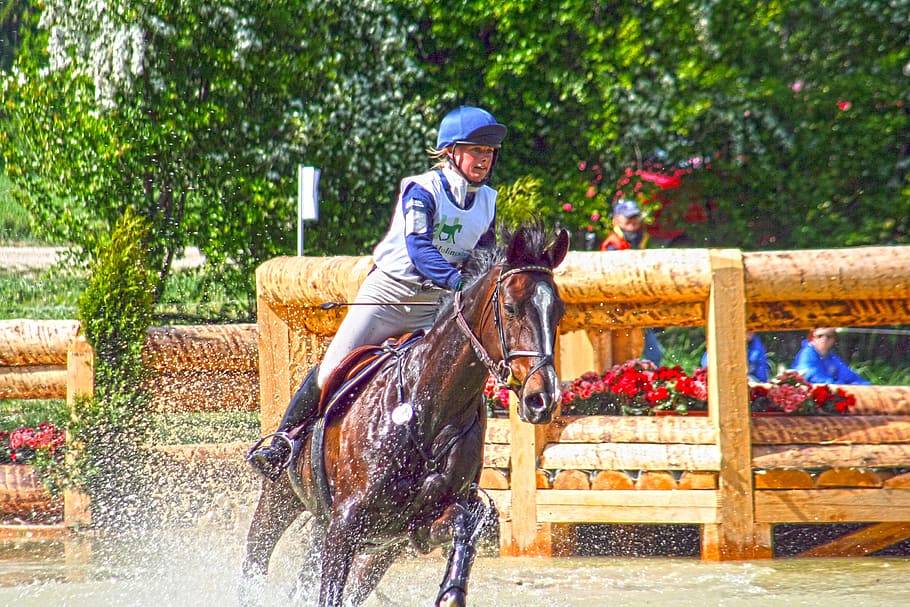 versatilitat, passeig, examen de versatilitat, esdeveniments, equitació militar, cavall, obstacle, terreny, acció, moviment, aigua, fossat, cavallera, marró, hdr, esport, cursa esportiva, velocitat, nacional, mamífer, animals domèstics, mascotes, muntar a cavall, bestiar, activitat, fauna animal, vertebrats, persones reals, passejades a cavall, adult, gent, un animal, arbre, a l'aire lliure, herbívors, 2K