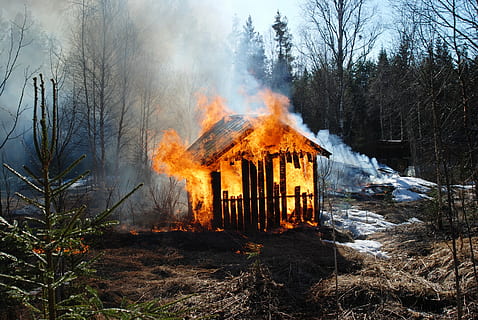 braun, hölzern, Schuppen, Verbrennung, Flammen, Feuer, Scheune, Frühling, Wald, Winter, Baum, Flamme, Natur, keine Leute, Hitze - Temperatur, draußen, Schnee, Feuer - natürliches Phänomen, Pflanze, Land, Rauch - physische Struktur, Tag, Umgebung, Nicht-städtische Szene, Umweltprobleme, Feld, kahler Baum, Bewegung, Verschmutzung, 4K, CC0, gemeinfrei, lizenzfrei