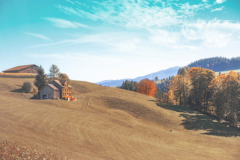 grau, Haus, Feld, braun, hölzern, Scheunenhaus, klar, Blau, Himmel, Landschaft, Baum, Farbe, Natur, Pflanze, wolke - himmel, Schönheit in der Natur, Tag, Umgebung, Land, die Architektur, gebaute Struktur, Szenen - Natur, Sonnenlicht, Herbst, draußen, keine Leute, ländliche Szene, Veränderung, 4K, CC0, gemeinfrei, lizenzfrei