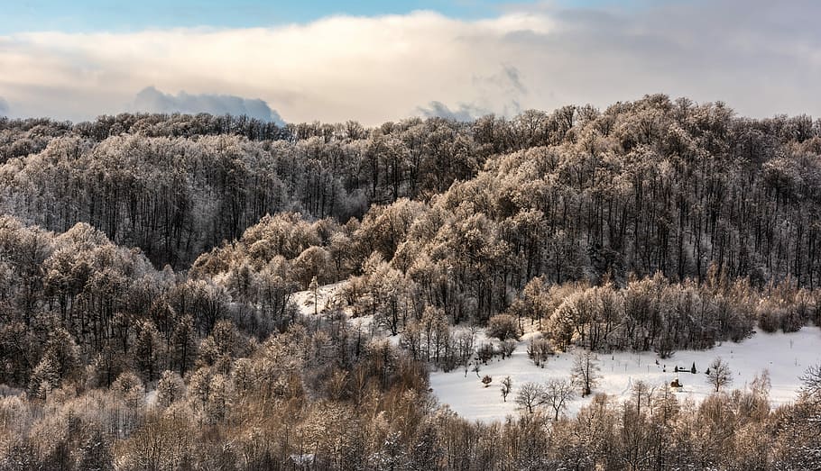 mara, letecký, fotografování, les, pokryté, sníh, zimní, mrak, strom, krajina, Krásná, Příroda, hora, snowscape, rostlina, studená teplota, krása v přírodě, nebe, nikdo, scenics - příroda, klid, klidné scény, mrak - nebe, růst, přistát, den, mimoměstské scény, životní prostředí, zamrzlý, venku, jehličnatého stromu, 2K