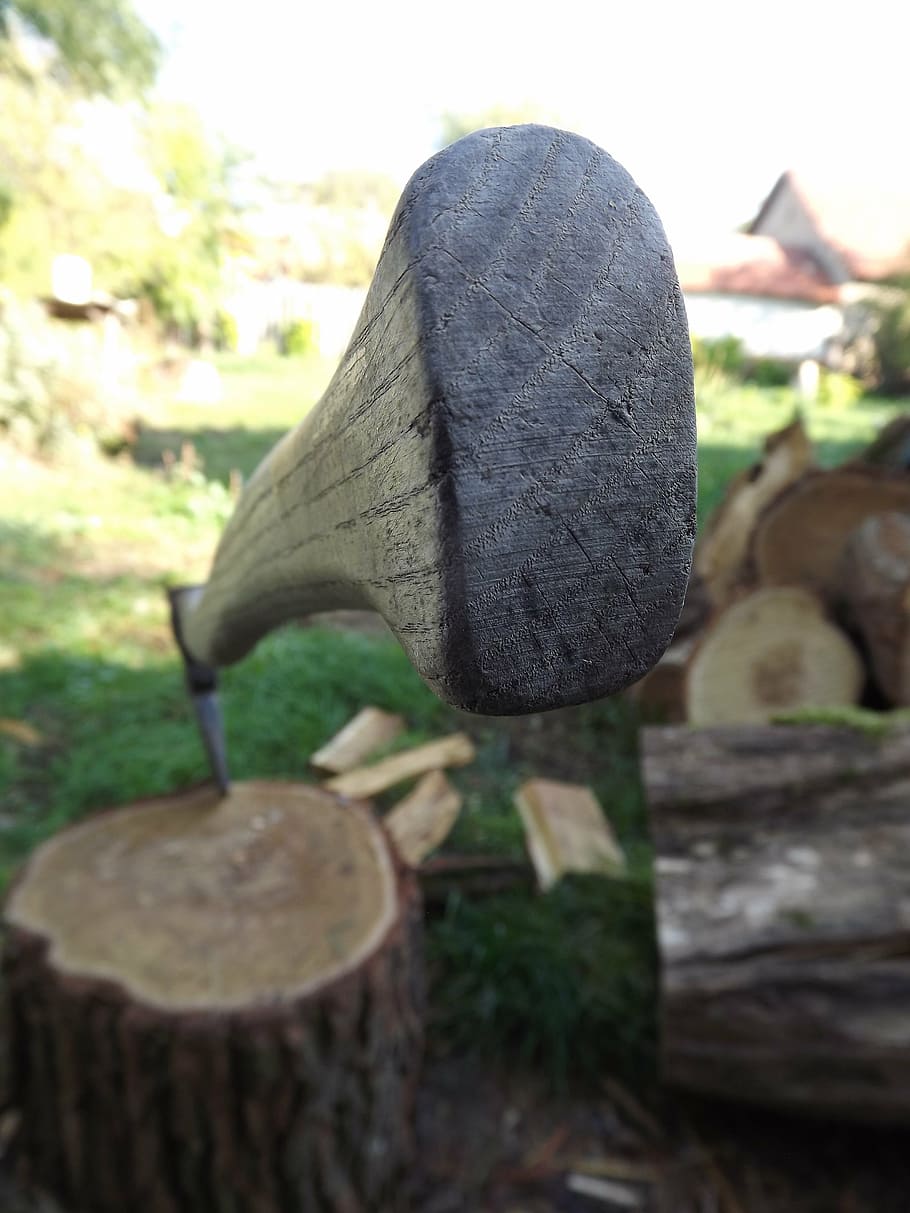 Axt, Gerätebaum, Garten, Nahansicht, Tag, Holz - Material, Natur, Fokus auf den Vordergrund, keine Leute, draußen, Pflanze, Land, Feld, solide, selektiver Fokus, Baum, Log, Holz, Stein, hängend, Lebensmittel, Essen und Trinken, Gras, 4K