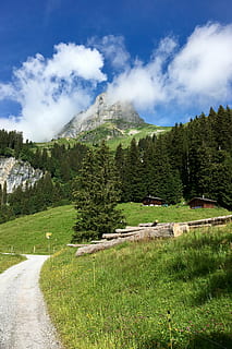 muntanya, núvols, ruta, paisatge, cel, alpí, glarus, suïssa, braunwald, planta, núvol - cel, bellesa a la natura, arbre, escenics - natura, escena tranquil·la, herba, color verd, tranquil·litat, naturalesa, terra, escena no urbana, dia, carretera, creixement, cap gent, camp, a l'aire lliure, 4K, CC0, domini públic, lliure de regalies