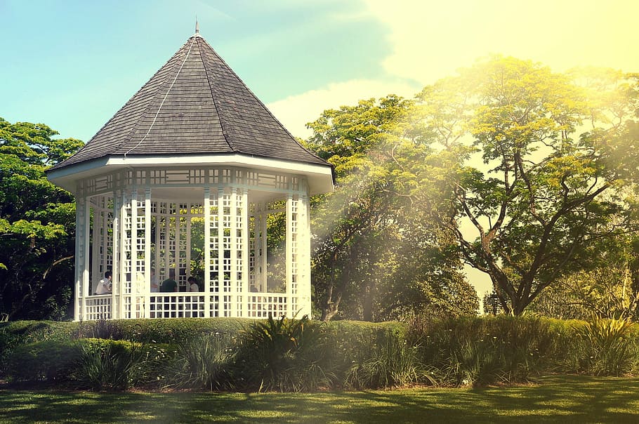 bianca, gazebo, albero, Marrone, calcestruzzo, gazeebo, giorno, luce del sole, i raggi del sole, alberi, arbusti, cespugli, erba, estate, acqua, nessuno, esterno dell'edificio, all'aperto, architettura, struttura costruita, cielo, pianta, natura, crescita, colore verde, costruzione, parco, il passato, parco - spazio creato dall'uomo, 1080P