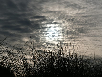 Strand, Himmel, Mond, Wolken, Lichtreflexionen, Natur, Abend, Vollmond, Mondschatten, schwarze Wolken, Kräuter, Schatten, Meer, Normandie, wolke - himmel, Pflanze, Ruhe, Gras, Wachstum, Schönheit in der Natur, Land, keine Leute, Szenen - Natur, ruhige Szene, Feld, draußen, Sonnenlicht, bedeckt, Tag, Umgebung, selektiver Fokus, Lieschgras, 2K, CC0, gemeinfrei, lizenzfrei