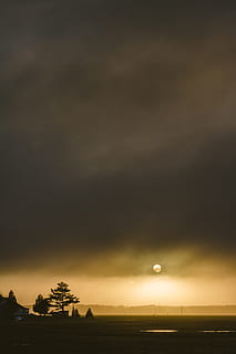 Silhouette, Bäume, golden, Stunde, Sonne, leuchtenden, Baum, Kumuluswolken, Ende der Zeiten, Wolke, dunkle Wolke, Wetter, Himmel, Sonnenuntergang, Natur, Dämmerung, Landschaft, wolke - himmel, Meer, szenen, draußen, Wolkengebilde, Schönheit in der Natur, dunkel, keine Leute, ruhige Szene, Szenen - Natur, Pflanze, Ruhe, Umgebung, Land, Feld, idyllisch, Nicht-städtische Szene, 5K, CC0, gemeinfrei, lizenzfrei