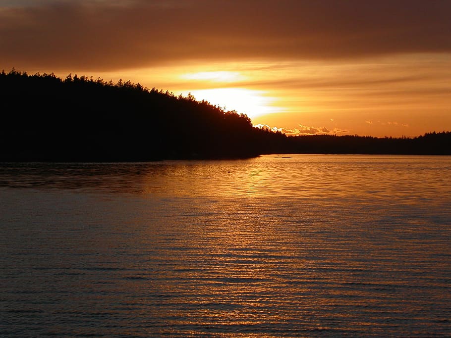 posta de sol, Washington, ferri, aigua, escenics - natura, cel, bellesa a la natura, tranquil·litat, escena tranquil·la, arbre, silueta, color taronja, naturalesa, davant del mar, idíl·lic, cap gent, mar, escena no urbana, núvol - cel, reflexió, a l'aire lliure, cel romàntic, 1080P