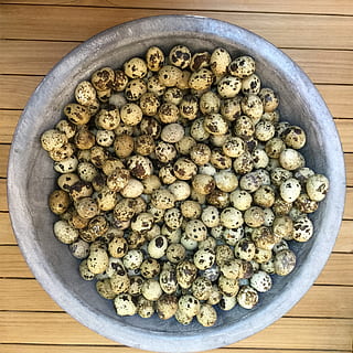Wachteleier, Wachtelei, Ei, Ostern, natürliches Produkt, Stillleben, Dekoration, Osterferien, Holz, Frohe Ostern, Oval, Zoll, klein, kleine Eier, Korb, Deko, Lebensmittel, Essen und Trinken, gesundes Essen, Frische, direkt darüber, Gemüse, Wohlbefinden, große gruppe von gegenständen, keine Leute, Tabelle, drinnen, Holz - Material, High Angle View, Nahansicht, Pilz, essbarer Pilz, Fülle, gestalten, vegetarisches Essen, Snack, 1080P, CC0, gemeinfrei, lizenzfrei