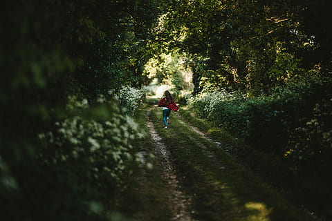 dona, vermell, samarreta, verd, pantalons, caminar, carretera de gespa, arbres, durant el dia, jardí, Camí, persona, arbre, bosc, pista, ruta, naturalesa, a l'aire lliure, corrent, nen, noi, cobertura, diversió, llum solar, ombra, setge, carril, infància, planta, persones reals, estils de vida, dia, activitat d'oci, sendera, terra, una persona, el camí a seguir, transport, direcció, enfocament selectiu, creixement, vista del darrere, bellesa a la natura, 8K, CC0, domini públic, lliure de regalies
