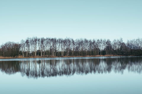 linea, alberi, corpo, acqua, fotografia speculare, isola, fotografia, riflessione, corpo d'acqua, albero, cielo, lago, natura, paesaggio, Paesaggi, foresta, blu, scena tranquilla, all'aperto, nessuno, bosco, bellezza nella natura, scena non urbana, la tranquillità, scenics - natura, pianta, lungomare, copia spazio, idilliaco, cielo sereno, giorno, lago di riflessione, 5K, CC0, dominio pubblico, privo di copyright