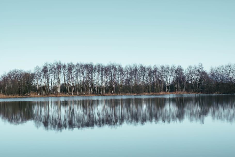 linea, alberi, corpo, acqua, fotografia speculare, isola, fotografia, riflessione, corpo d'acqua, albero, cielo, lago, natura, paesaggio, Paesaggi, foresta, blu, scena tranquilla, all'aperto, nessuno, bosco, bellezza nella natura, scena non urbana, la tranquillità, scenics - natura, pianta, lungomare, copia spazio, idilliaco, cielo sereno, giorno, lago di riflessione, 5K