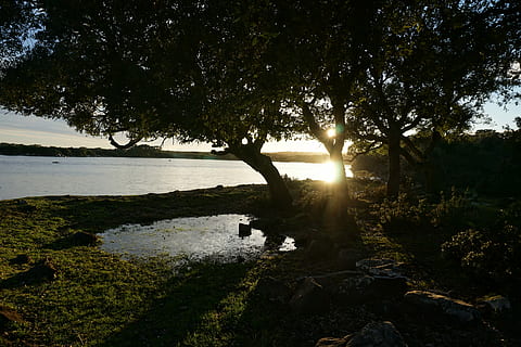 lys, solstråle, solnedgang, træer, sø, vand, grøn, Prato, vista, Italien, Sardinien, himmel, sol, solstråler, natur, baggrundsbelysning, sindsro, lysstråle, landskab, lempelse, belysning, fred, uspoleret, tusmørke, træ, scenics, rejse steder, rolig scene, udendørs, kroppe af vand, landskaber, flod, afspejling, plante, ro, skønhed i naturen, scenics - natur, sollys, vækst, ingen mennesker, klippe, dag, jord, rock-objekt, 5K, CC0, offentligt domæne, royaltyfrie