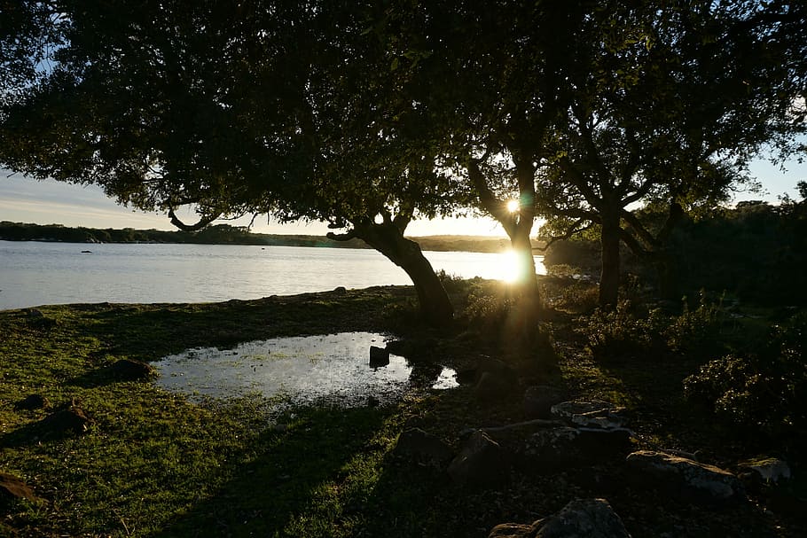 lys, solstråle, solnedgang, træer, sø, vand, grøn, Prato, vista, Italien, Sardinien, himmel, sol, solstråler, natur, baggrundsbelysning, sindsro, lysstråle, landskab, lempelse, belysning, fred, uspoleret, tusmørke, træ, scenics, rejse steder, rolig scene, udendørs, kroppe af vand, landskaber, flod, afspejling, plante, ro, skønhed i naturen, scenics - natur, sollys, vækst, ingen mennesker, klippe, dag, jord, rock-objekt, 5K