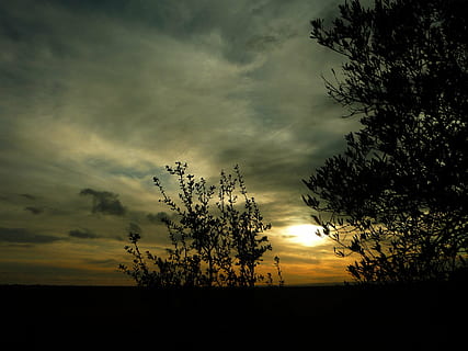 tramonto, campo, inverno, paesaggio, controluce, oliva, orizzonte, cielo, nuvole, sole, nuvoloso, purezza, collina, parco, dehesa, foresta, natura, albero, silhouette, all'aperto, nuvola - cielo, bellezza nella natura, pianta, scenics - natura, la tranquillità, scena tranquilla, nessuno, crescita, ambiente, crepuscolo, idilliaco, terra, 2K, CC0, dominio pubblico, privo di copyright