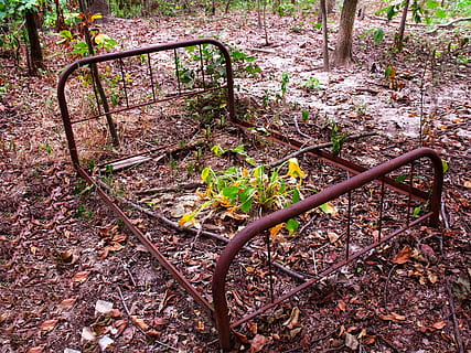 culla, ferro, rottame, vecchio, scartato, giunca, arrugginito, pianta, terra, natura, nessuno, giorno, parte vegetale, foglia, albero, metallo, autunno, crescita, all'aperto, parco, la tranquillità, foresta, vista dall'alto, campo, caduta, modificare, le foglie, 2K, CC0, dominio pubblico, privo di copyright