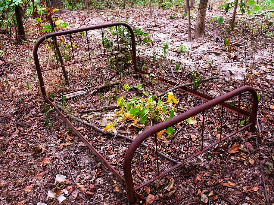 bressol, ferro, ferralla, vell, descartat, escombraries, rovellat, planta, terra, naturalesa, cap gent, dia, part de la planta, full, arbre, metall, tardor, creixement, a l'aire lliure, parc, tranquil·litat, bosc, vista d’angle alt, camp, caient, canvi, fulles, 2K