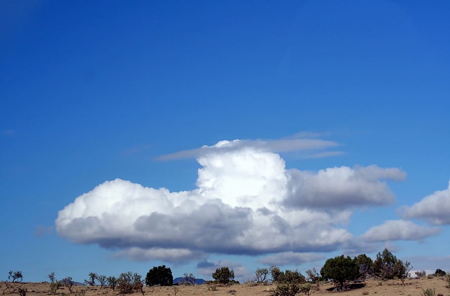 debesys, dangus, mėlyna, pobūdį, lauke, „cloudscape“, purus, Debesuota, meteorologija, kraštovaizdį, fonas, idiliškas, drumstas, debesis - dangus, grožis gamtoje, medis, dieną, vaizdai - gamta, augalų, aplinką, nėra žmonių, ramybė, kopijavimo vietos, ramioje scenoje, ne miesto scenoje, žemės, augimą, pusiau sausas, 1080P