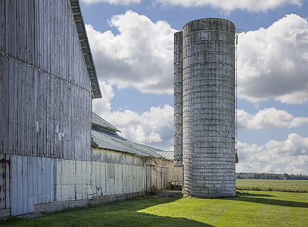 Scheune, rustikal, Scheunen, Ohio, digitale Kunst, ländlich, szenisch, Land, Landschaft, Schuppen, wirft, Bauernhof, Bauernhöfe, Landwirtschaft, landwirtschaftlich, Bauernhaus, champaign, Bezirk, Americana, Foto, fotografieren, Struktur, Strukturen, sturgell, William Sturgell, bill sturgell, historisch, Wohnkultur, Gebäude, Wolken, Himmel, Baum, Bäume, wolkig, Unkraut, Champaign County, Urbana, die Architektur, gebaute Struktur, wolke - himmel, Tag, Natur, Gras, Gebäudehülle, keine Leute, Silo, Pflanze, Wandbau - Funktion, draußen, die Vergangenheit, Geschichte, Feld, Sonnenlicht, Flachwinkelansicht, Fabrik, 4K, CC0, gemeinfrei, lizenzfrei
