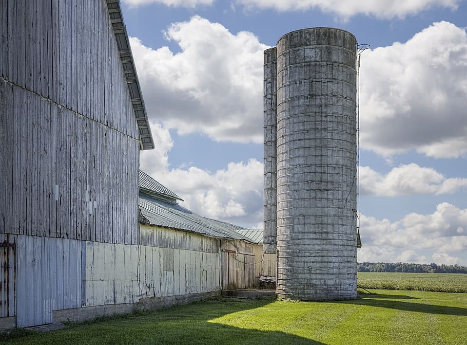graner, rústic, graners, ohio, art digital, rural, escènic, país, camp, paisatge, cobert, coberts, granja, granges, agricultura, agrícola, Masia, campanar, comtat, americana, foto, fotografia, estructura, estructures, sturgell, William Sturgell, factura sturgell, històric, decoració de la llar, edificis, núvols, cel, arbre, arbres, ennuvolat, cels, males herbes, comtat del campanar, urbana, arquitectura, estructura construïda, núvol - cel, dia, naturalesa, herba, exterior de l'edifici, cap gent, sitja, planta, funció de construcció de parets, a l'aire lliure, el passat, història, llum solar, terra, vista d’angle baix, fàbrica, 4K