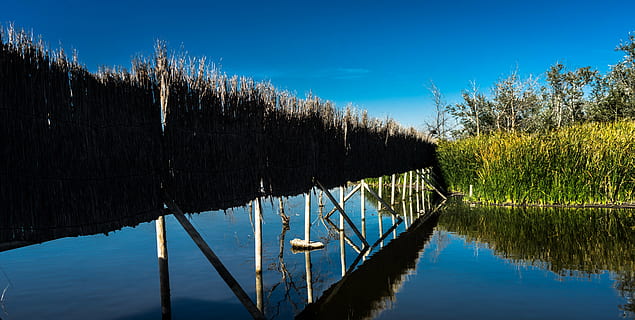 Tor, Pfad, Schatten, Glück, Soledad, Park, Natur, Folgen, gehen, Wandern, Landschaft, Grün, Kofferraum, Herbst, Wald, Baum, ländlich, rustikal, historisch, Brücke, Lagune, See, Angeln, Wasser, Spanien, Fluss, Himmel, Nachmittag, Reflexion, Reservoir, Moor, Licht, blauer Himmel, Ente, Sommer-, Tag, Wolken, Ruhe, Sonne, Horizont, Sonnenuntergang, Hintergrundbildschirm, Strand Sonnenuntergang, Blau, Pflanze, keine Leute, ruhige Szene, Transport, Schönheit in der Natur, Wasserfahrzeug, Szenen - Natur, Holz - Material, Nicht-städtische Szene, draußen, 5K, CC0, gemeinfrei, lizenzfrei