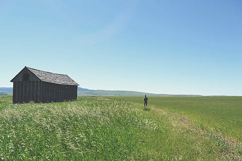person, running, green, grass field, blue, skies, standing, middle, grass, field, grey, barnhouse, right, daylight, landscape, nature, barn, rural, countryside, sky, outdoors, people, guy, man, adventure, rural scene, clear sky, one person, scenics, land, plant, day, environment, real people, beauty in nature, scenics - nature, architecture, rear view, built structure, men, non-urban scene, 1080P, CC0, public domain, royalty free