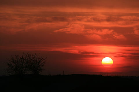 solnedgang, sol, rød, himmel, ild, om aftenen, Sky, scenics - natur, skønhed i naturen, sky - himmel, silhuet, rolig scene, ro, orange farve, miljø, landskab, idyllisk, natur, dramatisk himmel, ingen mennesker, træ, plante, ikke-urbane scene, ærefrygt, udendørs, romantisk himmel, 4K, CC0, offentligt domæne, royaltyfrie