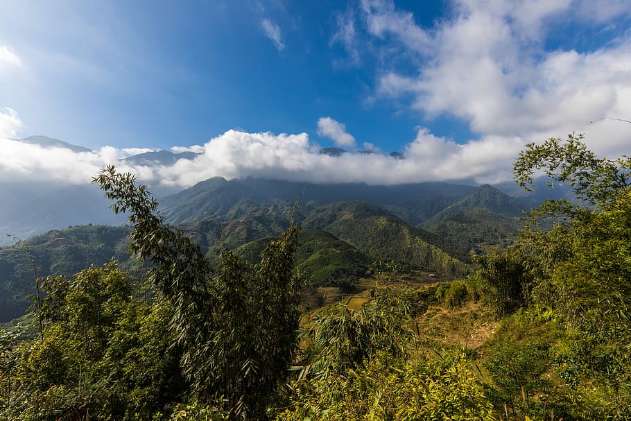 naturalesa, paisatge, arbre, muntanya, cel, sapa, vietnam, camps d’arròs, arròs, terrasses d’arròs, camps de terrassa, panorama, viatjar, planta, muntanyes, humor, camp, turó, asia, viatge, vietnam del nord, muntanyós, idíl·lic, perspectiva, silenciós, descans, herba, núvol - cel, escenics - natura, bellesa a la natura, escena tranquil·la, tranquil·litat, escena no urbana, medi ambient, cap gent, dia, Serra, creixement, terra, color verd, a l'aire lliure, arbre de coníferes, paisatge rodant, 5K