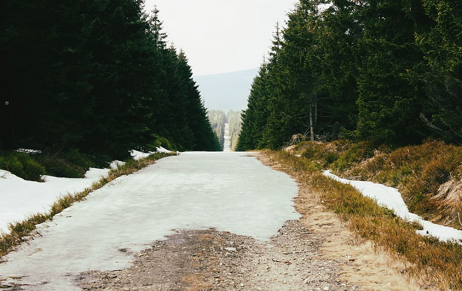 hory, cesta, Pohled, Příroda, krajina, stezka, Polsko, krásu hor, strom, turistika, scenérie, volně žijících živočichů, cestovní ruch, cestovat, zelená, Dovolená, způsob, národního parku, sníh, Studený, lezení, prázdnin, spacer, volný čas, mráz, bloudit, kameny, zimní, zimní krajina, pohádková zima, les, rostlina, cesta vpřed, směr, nikdo, den, silnice, pěšina, růst, krása v přírodě, perspektiva, klid, klidné scény, přeprava, scenics - příroda, venku, studená teplota, dlouho, 4K