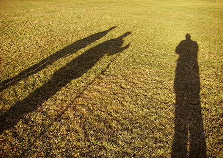 persona, ombra, verde, campo d'erba, ombre, uomini, tre, saggio, lungo, silhouette, persone, alba, crepuscolo, i viaggiatori, viaggio, teso, magro, magi, natura, luce del sole, concentrarsi sull'ombra, pianta, erba, campo, terra, vista dall'alto, giorno, crescita, lunga ombra - ombra, persone reali, all'aperto, persona irriconoscibile, colore verde, paesaggio, stili di vita, 2K, CC0, dominio pubblico, privo di copyright