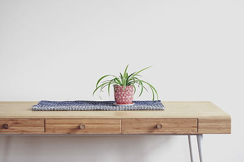 planta, superior, beix, fusta, escriptori, 2 calaixos, 2-pit del calaix, armari de fusta blanca, minimalisme, material de fusta, a l'interior, cap gent, alimentació saludable, naturalesa, còpia espai, full, benestar, tir de l'estudi, planta en test, menjar i beguda, taula, part de la planta, menjar, creixement, herba, frescor, prestatge, vegetals, 4K, CC0, domini públic, lliure de regalies