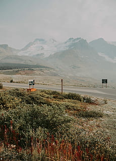 vert, des arbres, couvert, les montagnes, route, montagne au sommet enneigé, jour, Montagne, neige, ciel, nuage, brouillard, signe, buisson, roches, herbe, glacier, parc national, Canada, beauté dans la nature, paysages - nature, environnement, paysage, scène tranquille, tranquillité, chaîne de montagnes, plante, scène non urbaine, personne, terre, la nature, journée, champ, idyllique, croissance, éloigné, en plein air, 4K, CC0, domaine public, libre de droits
