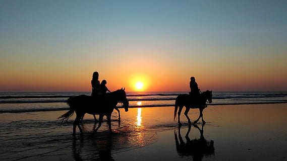 fotografia di silhouette, tre, persona, equitazione, cavallo, a piedi, spiaggia, silhouette, fotografia, camminando, sulla spiaggia, tramonto, persone, all'aperto, mare, vacanze, crepuscolo, retroilluminato, natura, uomini, acqua, cielo, destinazioni di viaggio, luce del sole, donne, sabbia, alba - alba, sole, riflessione, terra, animali domestici, orizzonte, domestico, orizzonte sull'acqua, bellezza nella natura, attività di svago, mammifero, temi animali, animale, 2K, CC0, dominio pubblico, privo di copyright