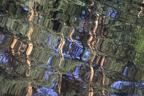 plan d'eau, eau, reflets, en miroir, des arbres, vague, surface, arrière-plans, plein cadre, personne, à l'intérieur, modèle, abondance, brillant, fermer, réflexion, grand groupe d'objets, verre - matériel, transparent, répétition, faible angle de vue, la nature, texturé, nature morte, dans une rangée, ordre, richesse, couleur argentée, luxe, 720P, CC0, domaine public, libre de droits