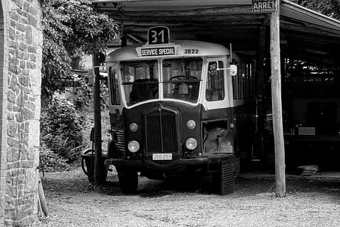 oud, Old Timer, schoolbus, retro, bus, wijnoogst, vervoer, landvoertuig, geen mensen, dag, buitenshuis, wijze van transport, architectuur, tekst, buitenkant van het gebouw, ingebouwde structuur, westers schrift, land-, communicatie, openbaar vervoer, stationair, verlaten, aantal, venster, natuur, 1080P, CC0, publiek domein, royaltyvrij