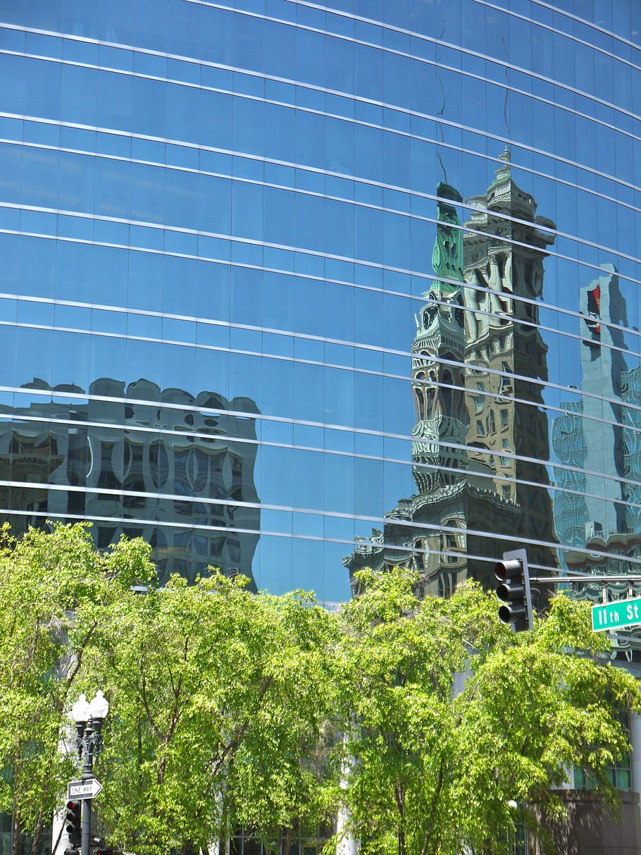 Oakland, gratacels, duplicació, reflexió, façana, EUA, arquitectura, edifici, exterior de l'edifici, a l'aire lliure, cap gent, arbre, dia, estructura construïda, planta, naturalesa, vista d’angle baix, color verd, creixement, cel, llum solar, blau, vidre - material, representació, representació humana, exterior d’edifici d’oficines, 4K