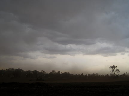træer, mørk, skyer, storm, ildevarslende, voldsom, lav, vind, støv, eskalerende, veld, himmel, natur, sky - himmel, vejr, tordenvejr, træ, landskab, miljø, plante, skønhed i naturen, ro, scenics - natur, rolig scene, ingen mennesker, jord, ikke-urbane scene, overskyet, Mark, kopiere plads, udendørs, idyllisk, 2K, CC0, offentligt domæne, royaltyfrie