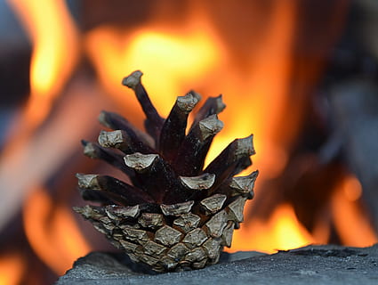 cono, fuoco, macro, dettaglio, foto, ardente, fuoco - fenomeno naturale, fiamma, calore - temperatura, colore arancione, avvicinamento, natura, legno - materiale, raggiante, ceppo, carbone, nessuno, legna, bruciato, legna da ardere, cenere, movimento, concentrarsi sulle conoscenze acquisite, movimento sfocato, falò, 4K, CC0, dominio pubblico, privo di copyright