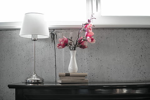 lampada da tavolo argento, bianca, paralume, superiore, nero, rosa, fiori di magnolia, vaso, accanto, lampada, tavolo, fiore, interno, calcestruzzo, attrezzatura per l'illuminazione, pianta fiorita, lampada elettrica, pianta, in casa, interno di casa, nessuno, natura, finestra, vetro - materiale, decorazione, colore rosa, giorno, stanza domestica, fragilità, freschezza, casa, 5K, CC0, dominio pubblico, privo di copyright