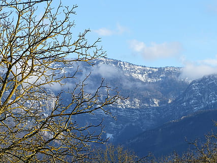 paesaggio, visualizza vercors, albero, noce, inverno, montagna, natura, all'aperto, foresta, Paesaggi, picco di montagna, pianta, bellezza nella natura, cielo, scenics - natura, ramo, la tranquillità, nessuno, giorno, nuvola - cielo, scena tranquilla, scena non urbana, temperatura fredda, crescita, idilliaco, acqua, 4K, CC0, dominio pubblico, privo di copyright